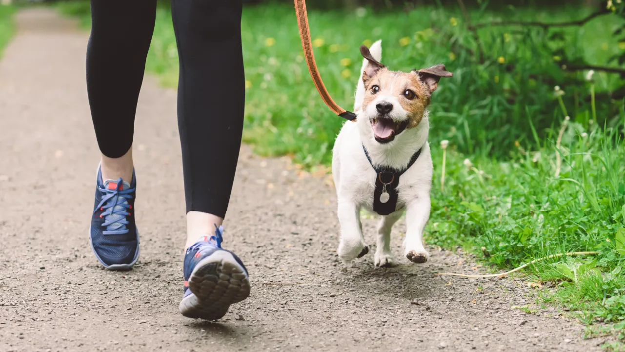 SOC_2024_04_18_Post 2 Financial Literacy Month Campaign_V1-R1_1280x720_02.png